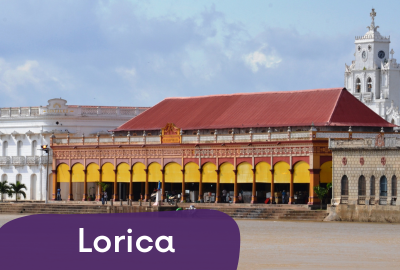 loricaudc